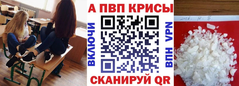 A PVP VHQ  Курчалой 