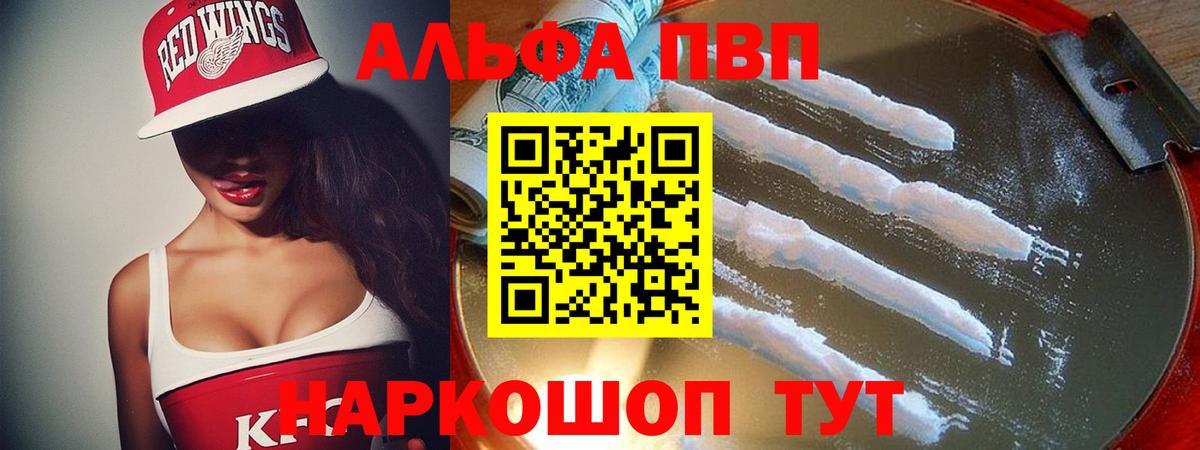 A-PVP СК Курчалой