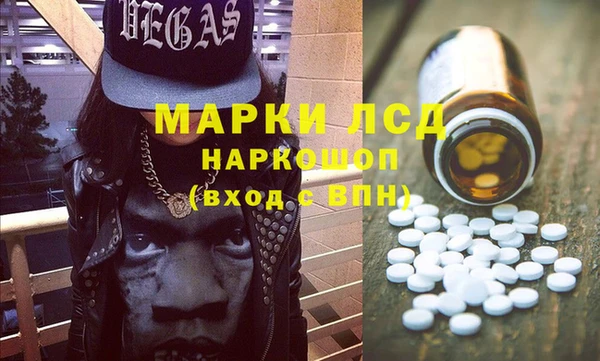 ECSTASY Алзамай