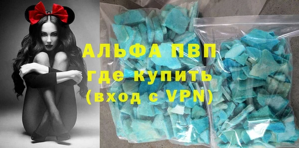 ECSTASY Алзамай