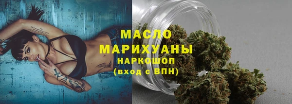 ECSTASY Алзамай