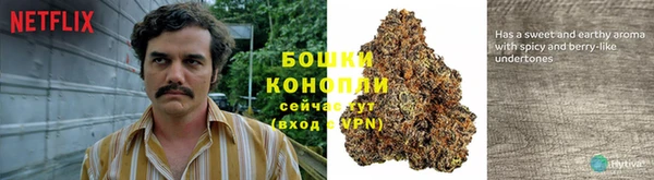 ECSTASY Алзамай