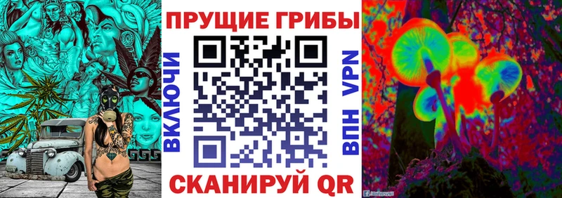 Галлюциногенные грибы прущие грибы  сколько стоит  Курчалой 