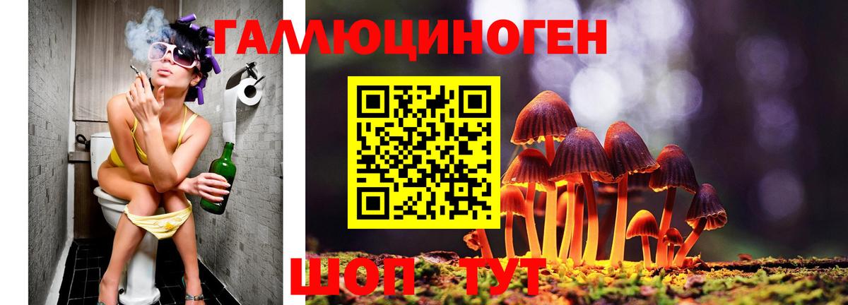 МЕТАДОН Курчалой